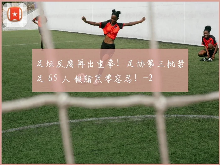 足坛反腐再出重拳！足协第三批禁足 65 人 假赌黑零容忍！