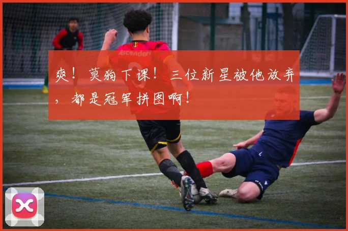 爽！莫狗下课！三位新星被他放弃，都是冠军拼图啊！