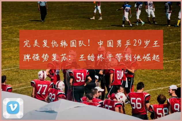 完美复仇韩国队！中国男乒29岁王牌强势复苏：王皓终于等到他崛起