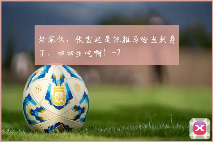 好家伙，张雪这是把雅马哈当刺身了，回回生吃啊！