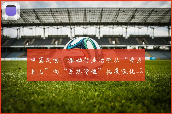 中国足协：推动行业治理从“重点打击”向“系统清理”拓展深化_2