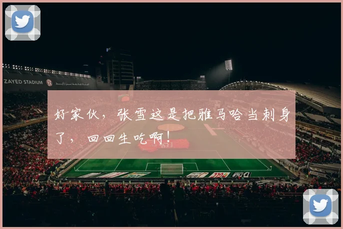 好家伙，张雪这是把雅马哈当刺身了，回回生吃啊！