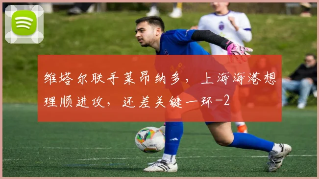 维塔尔联手莱昂纳多，上海海港想理顺进攻，还差关键一环